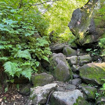 ほぼ岩場