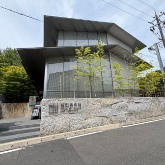 きれいです🤩