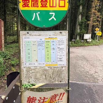 13:44発の🚌、間に合った！・・・と思ったのに全然バス来ない💦

先に下山されてた方と「来ないですね」と話しつつ待つ。あまりに遅いから運休？と不安になる。バス会社に電話確認してくださり、27分遅れとの事。運休でなく一安心。

待ってる間、お喋り付き合ってくださって、ありがとうございました😊