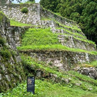 お城🏯どんな風だったのかなぁ　標識のQRコードで見れるらしいけど　