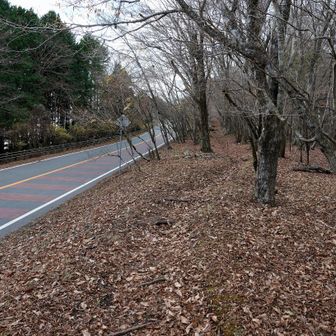 が、トイレまではしばらく道路の横をのんびり歩いていきます