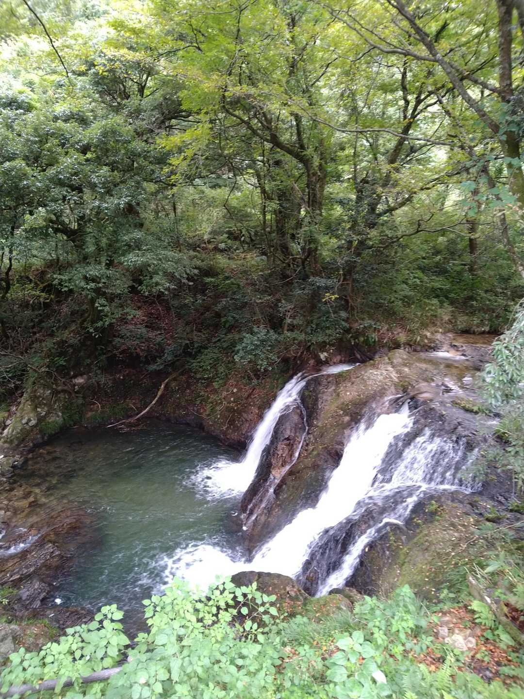 蓮如山-鷹落山 縦走コースの写真