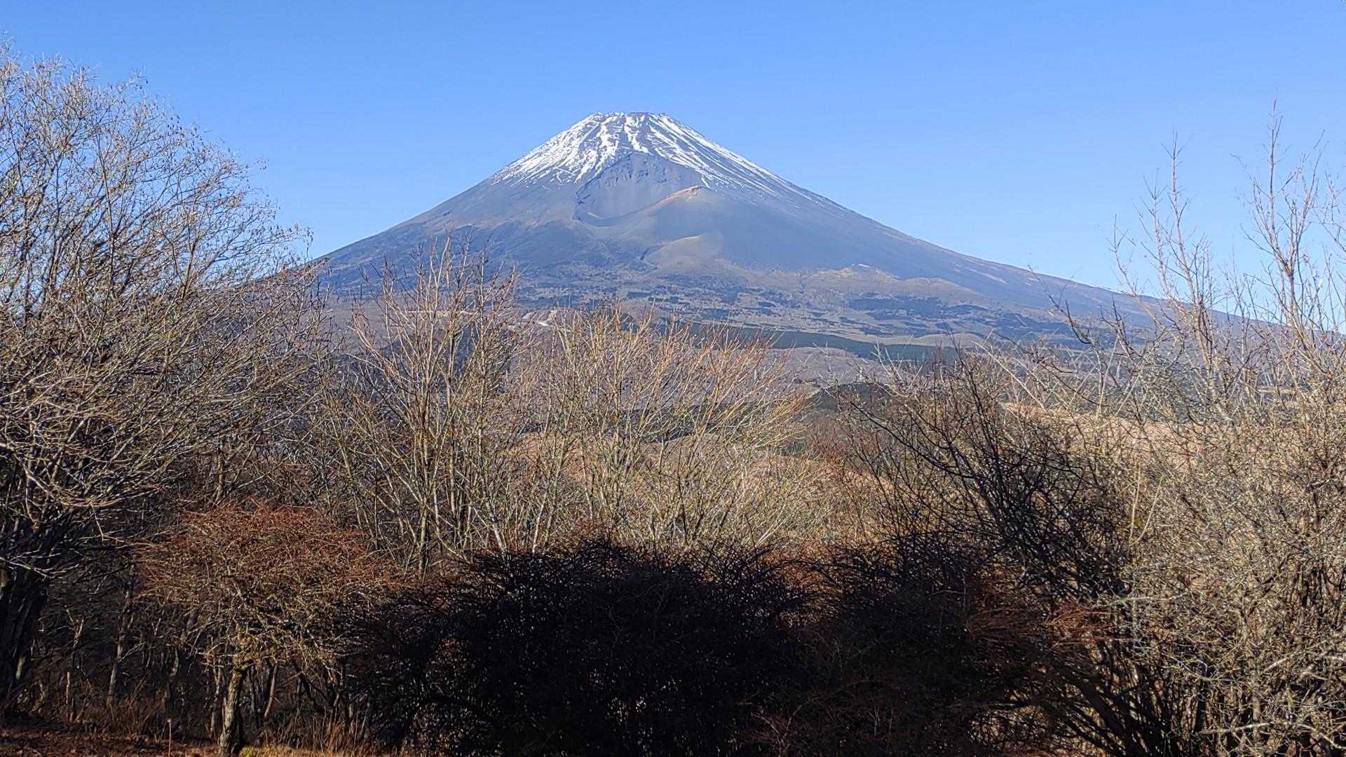 須山愛鷹登山口-富士見峠-黒岳-富士見台-越前岳 周回コースの写真