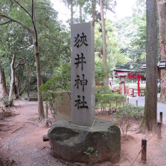 狭井神社