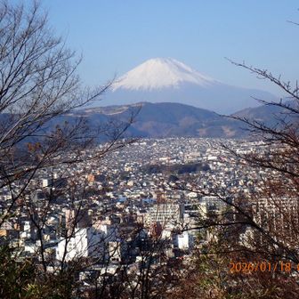 浅間山手前の展望台から見た富士山と秦野市街