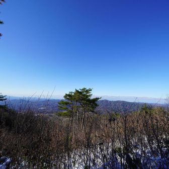 眺望もばっちり