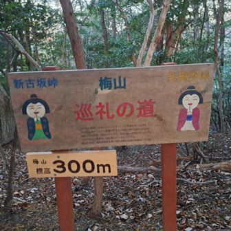 この先、背戸山への分岐がわかりづらい