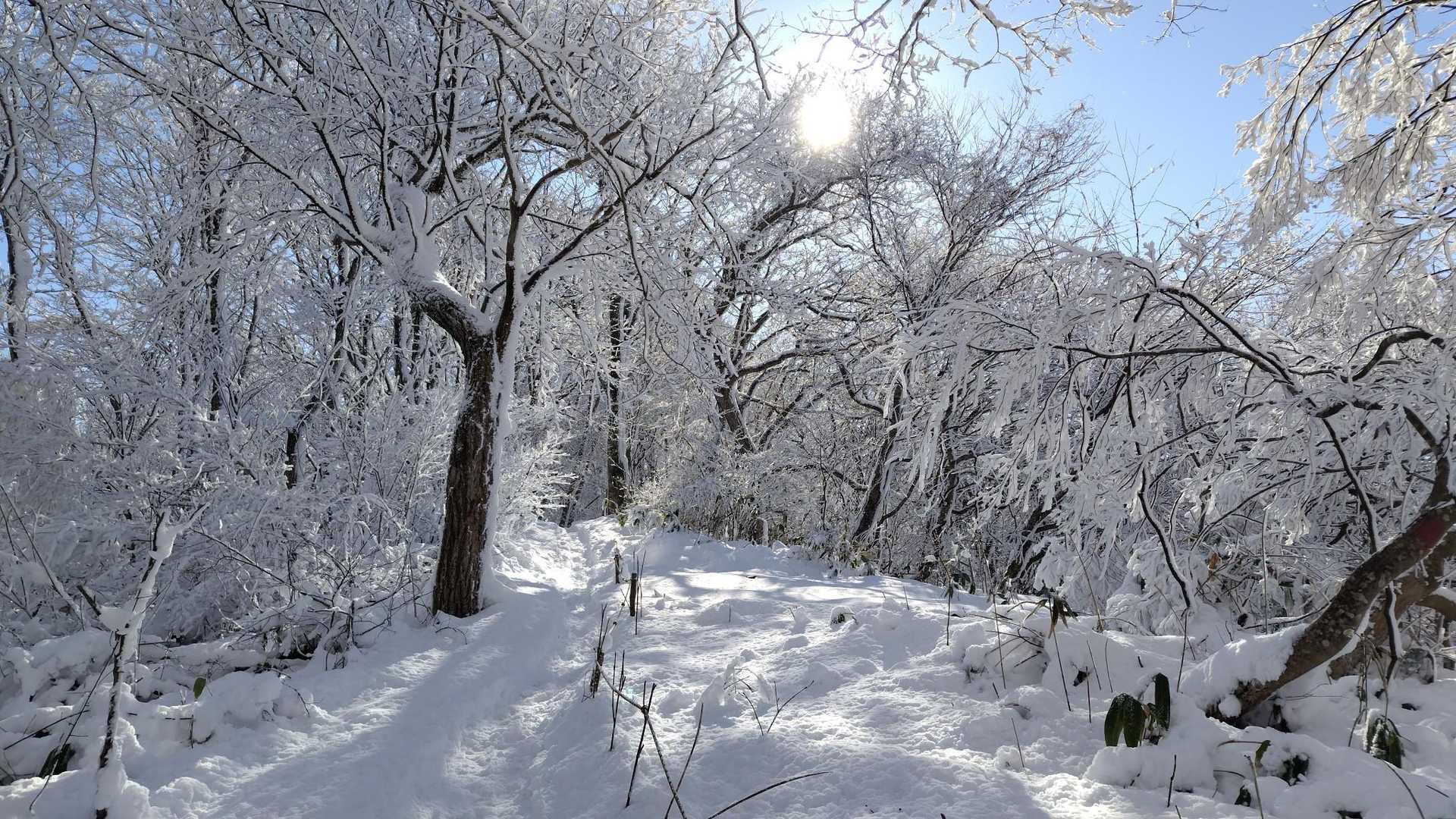 春夏秋冬　色々な顔が見れる青木山です