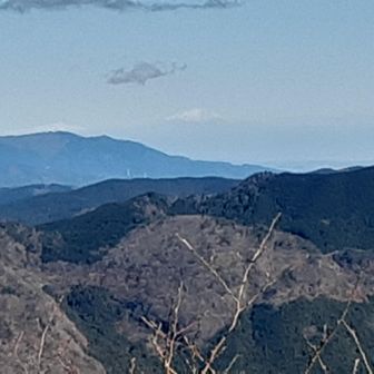富士山？みたいな。