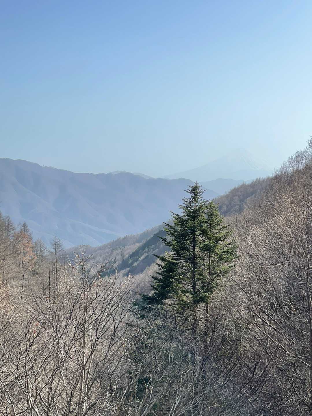 茶屋の横に小さな展望台。ここからも富士山がみえます。この日は超〜薄うす富士（見えますか？）
この辺りは野鳥でよく知られる場所のようなので、夏鳥が来る頃にまた来てみたいです！