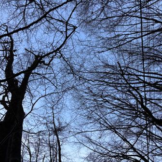 すっかり雨はあがりました。
今日は一日を通して
お天気の全てを体験した気がする🤭