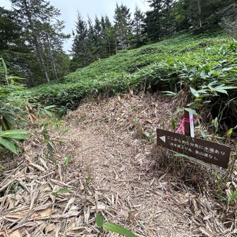 水場の標識
