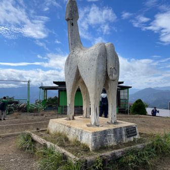 ソバキュリアン