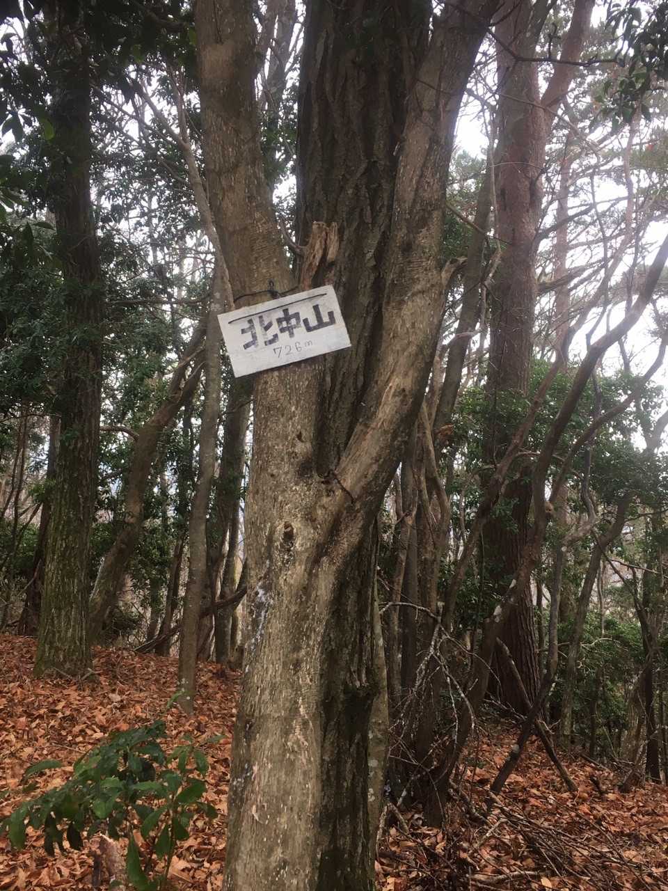 すぐに3座目、北中山🚩