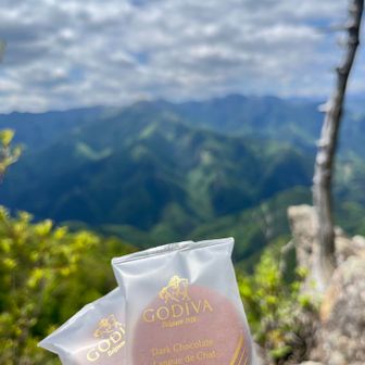 ↑と、切り落としカステラ(笑)
至福のコーヒータイム🍀