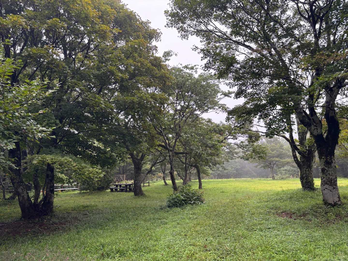 吾妻山登山口-吾妻山 周回コースの写真