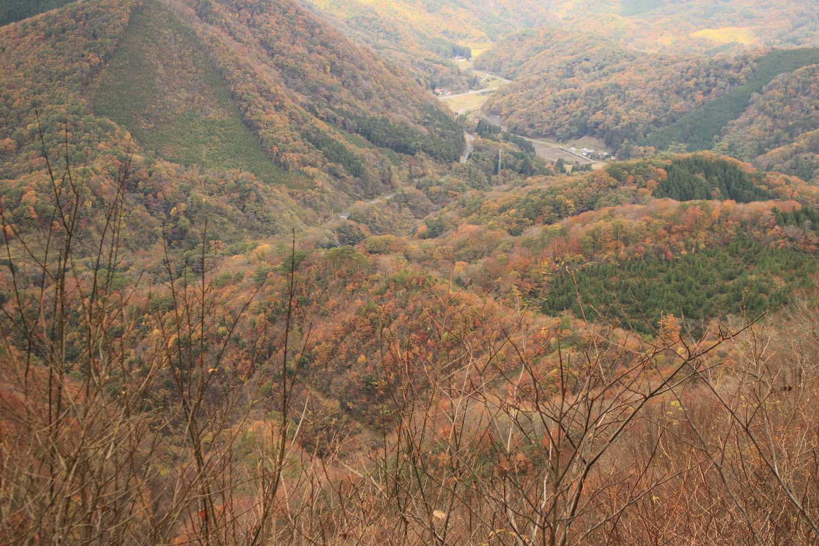 沖の郷山登山口-沖の郷神社-沖の郷山 往復コースの写真