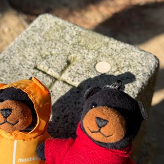 夕方の色になってきた