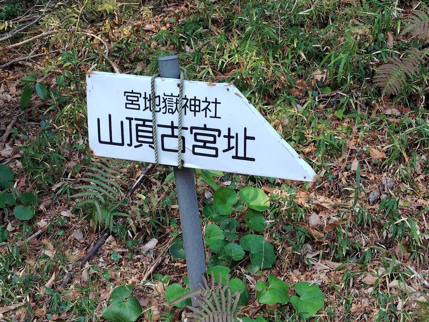 山頂にも行ってみよう！