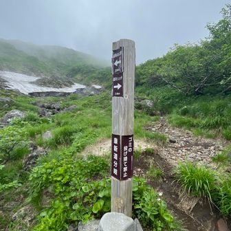 9:28康新道分岐に着いた