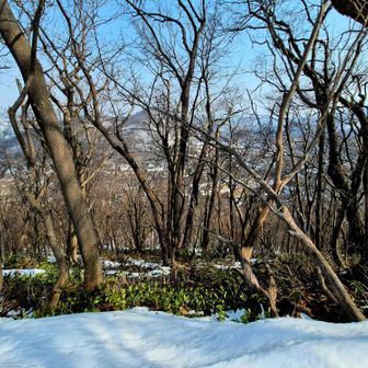 まったく伝わらなさすぎの急登🎢