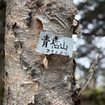 行きではわからず、帰りに見つけた標識！！