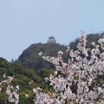 今日は一段と濃い春霞