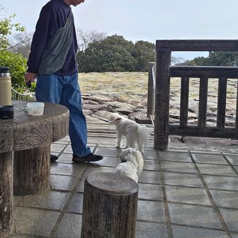 おやつ&コーヒータイム

マイルストーンのショルダーバック軽くて良いね