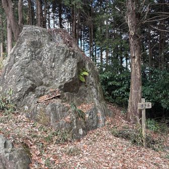 ここは左右どちらでもOK