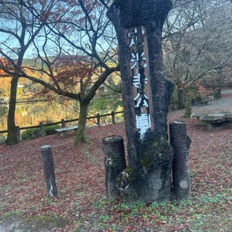 山道歩いて公園に出て