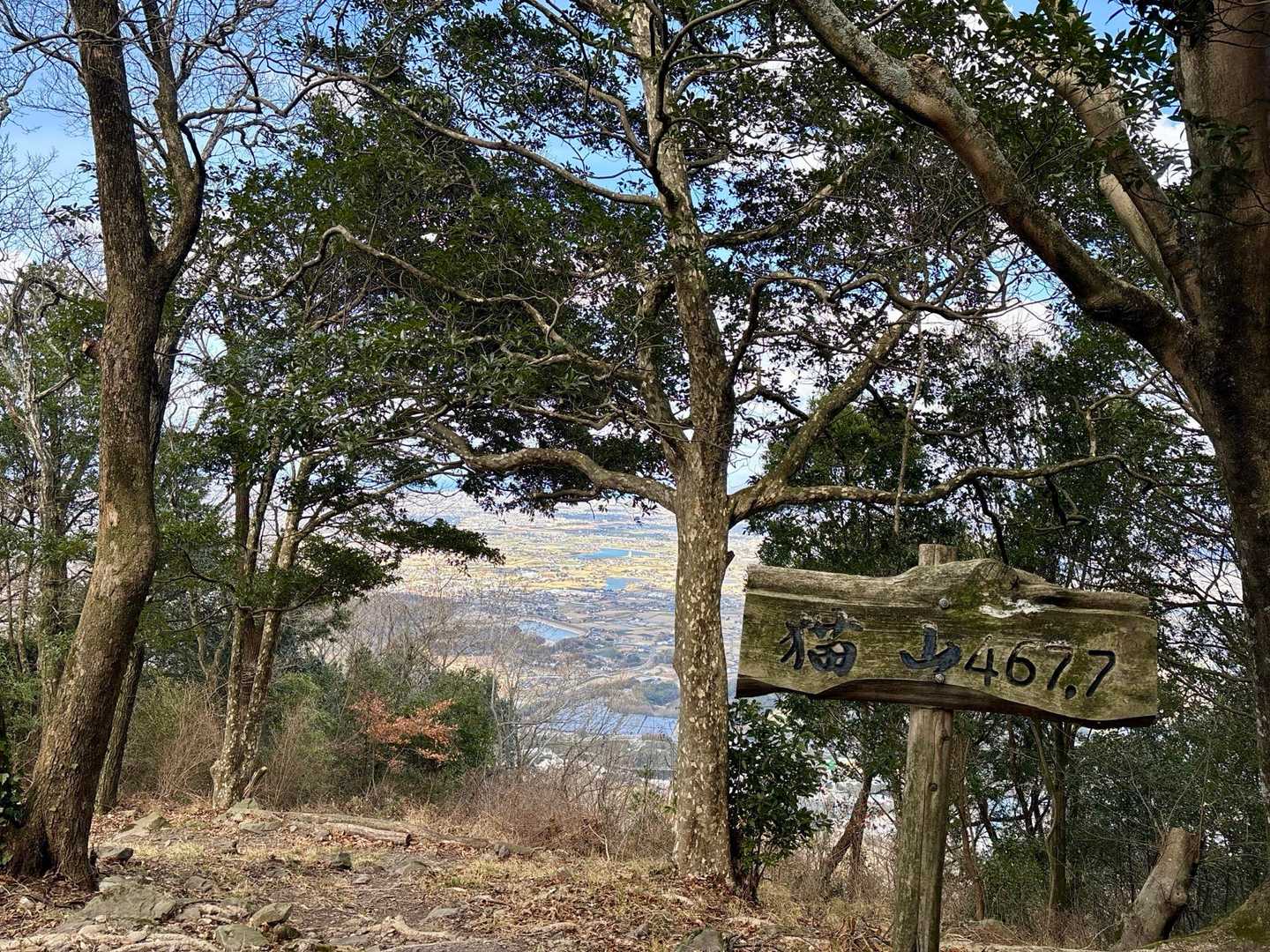 本日三座目『猫山』とうちゃく🙌