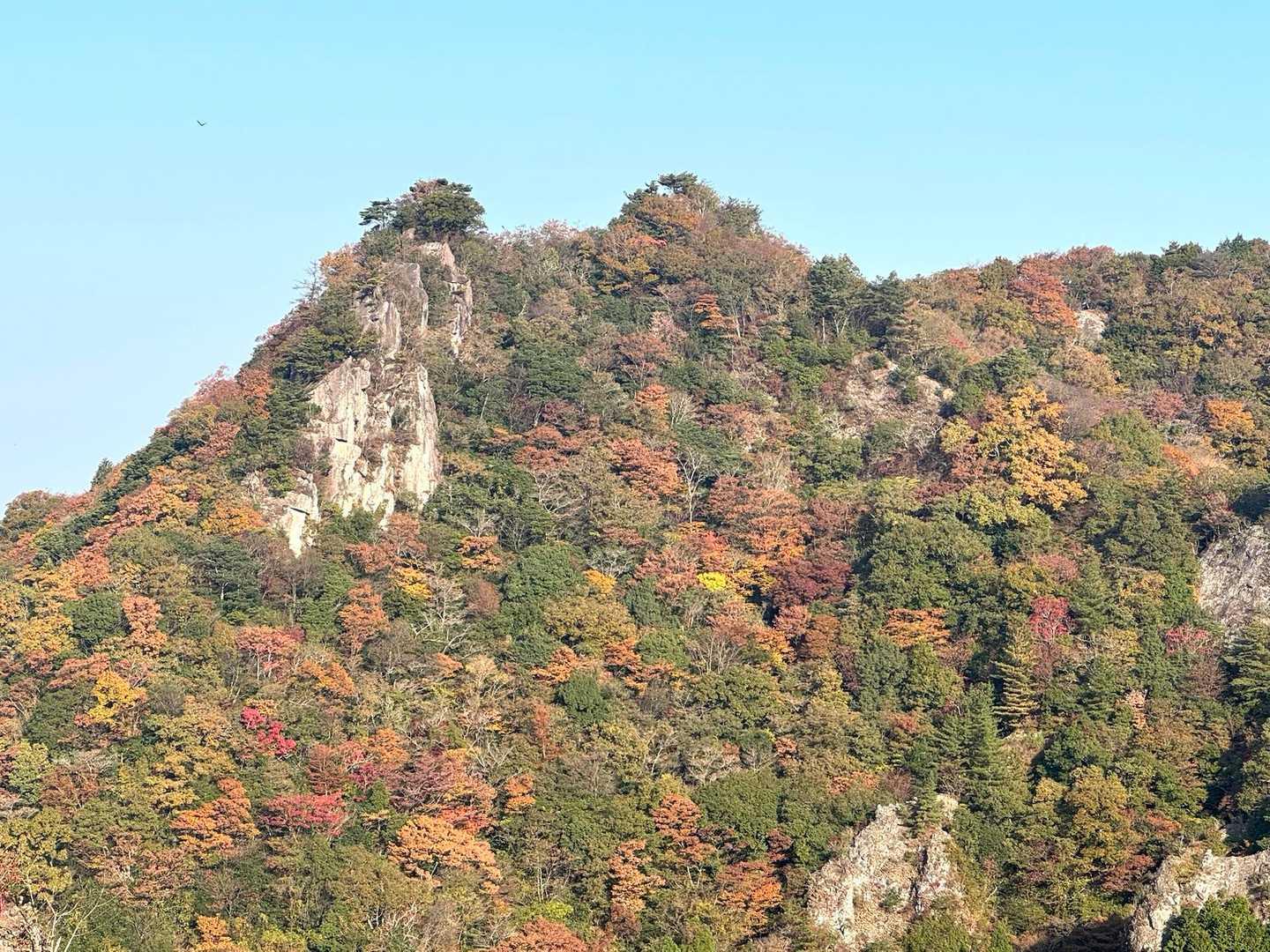 鹿嵐山-地蔵峠-第二登山口-鹿嵐山中央登山口 周回コースの写真