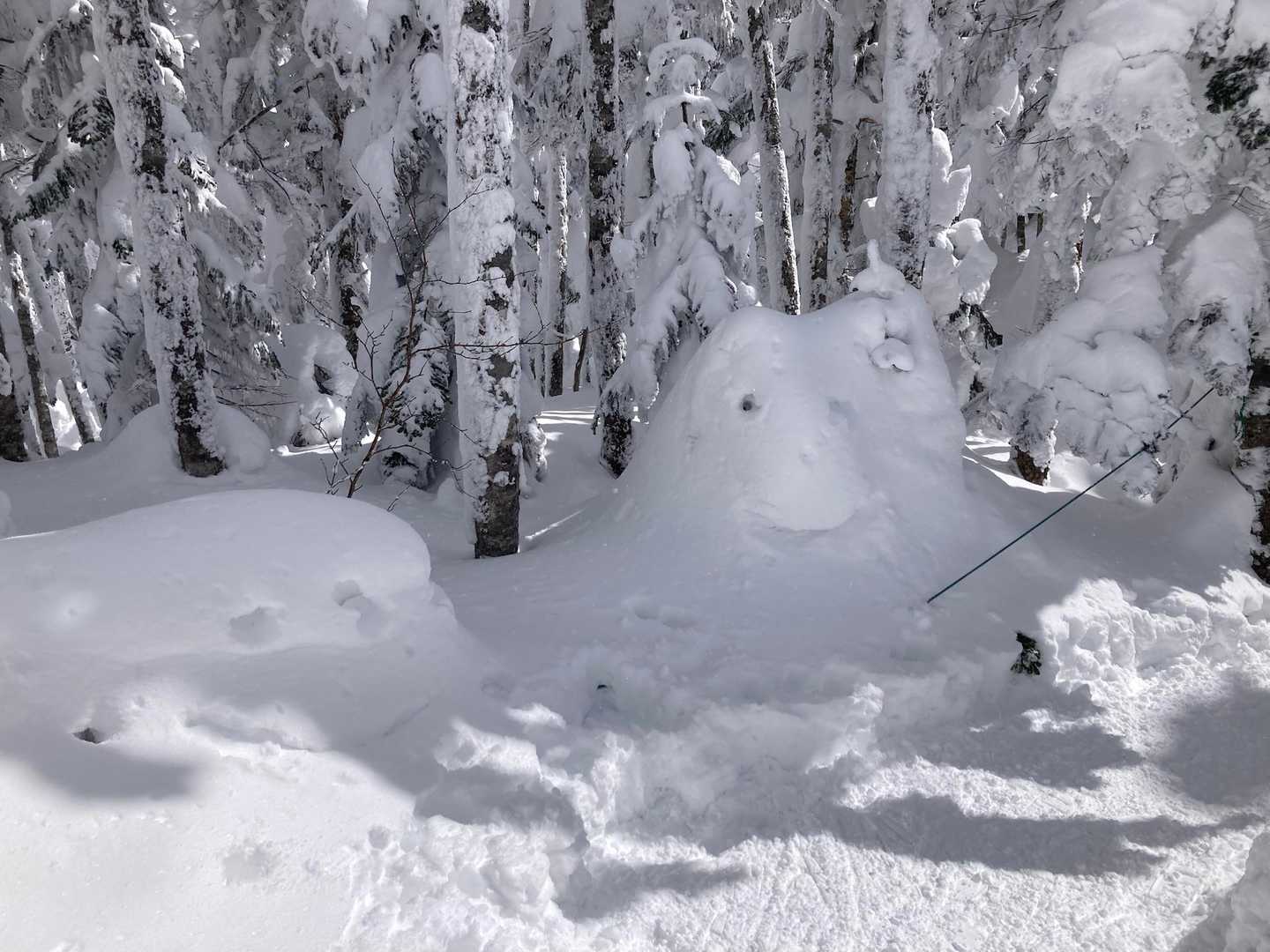 北横岳コース（ロープウェイ）の写真