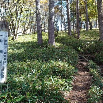登ります