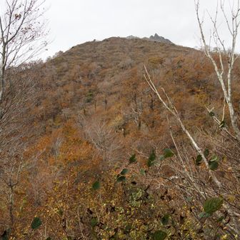 P1405の上に槍ヶ峰がチョコッと見える景色を撮った１分後に鳥越峠を通過しましたが、ここでも🐝山友さんと10分違いでニアミスでした。😢