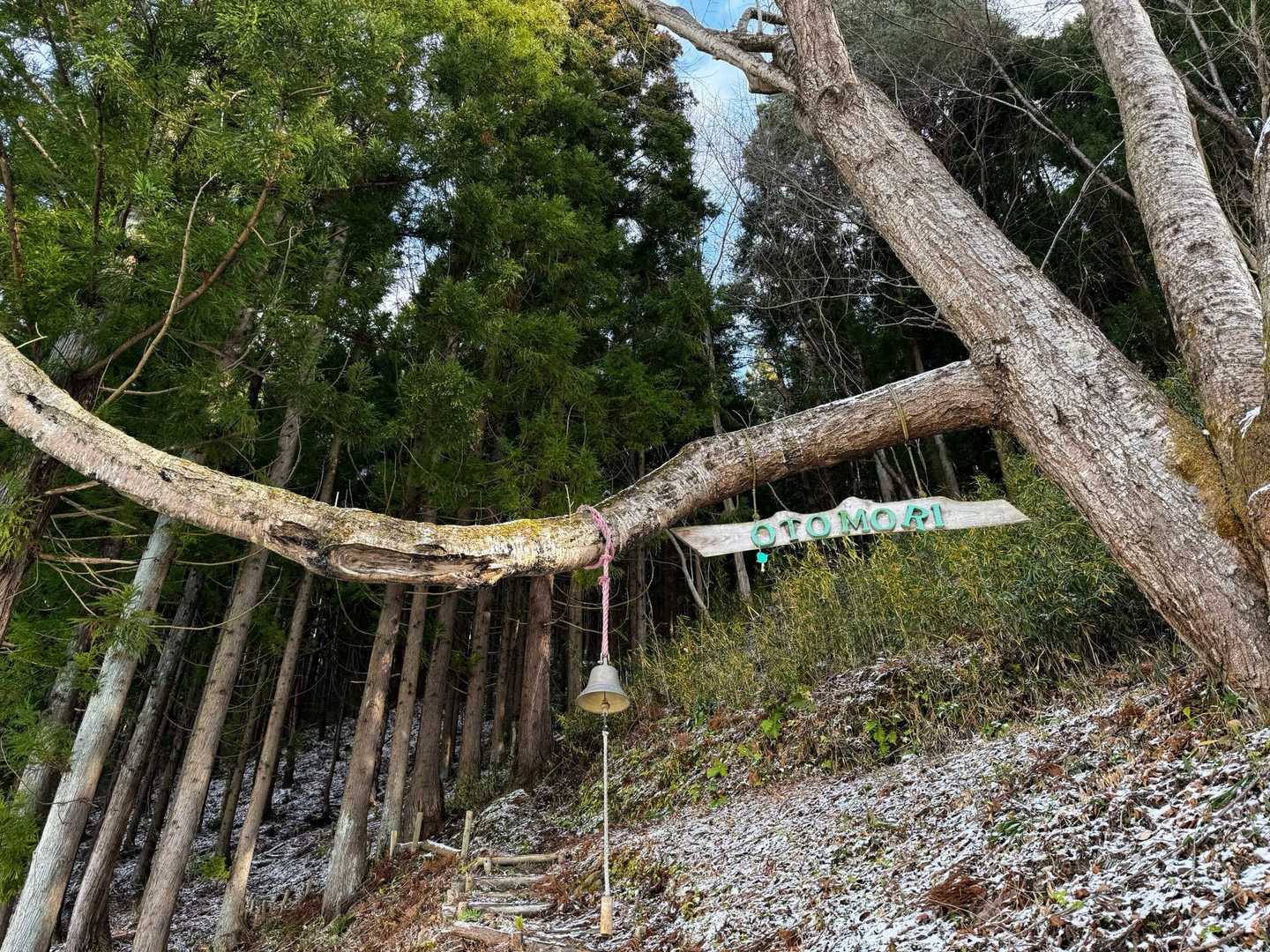 西音森山-宇津峰 周回コースの写真