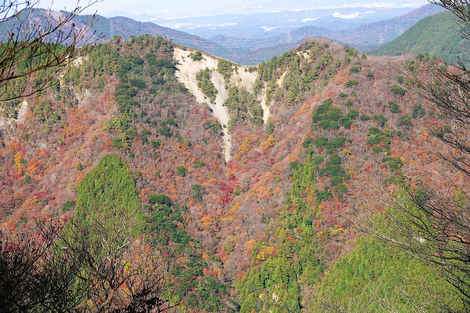 下の方はまだ紅葉🍁