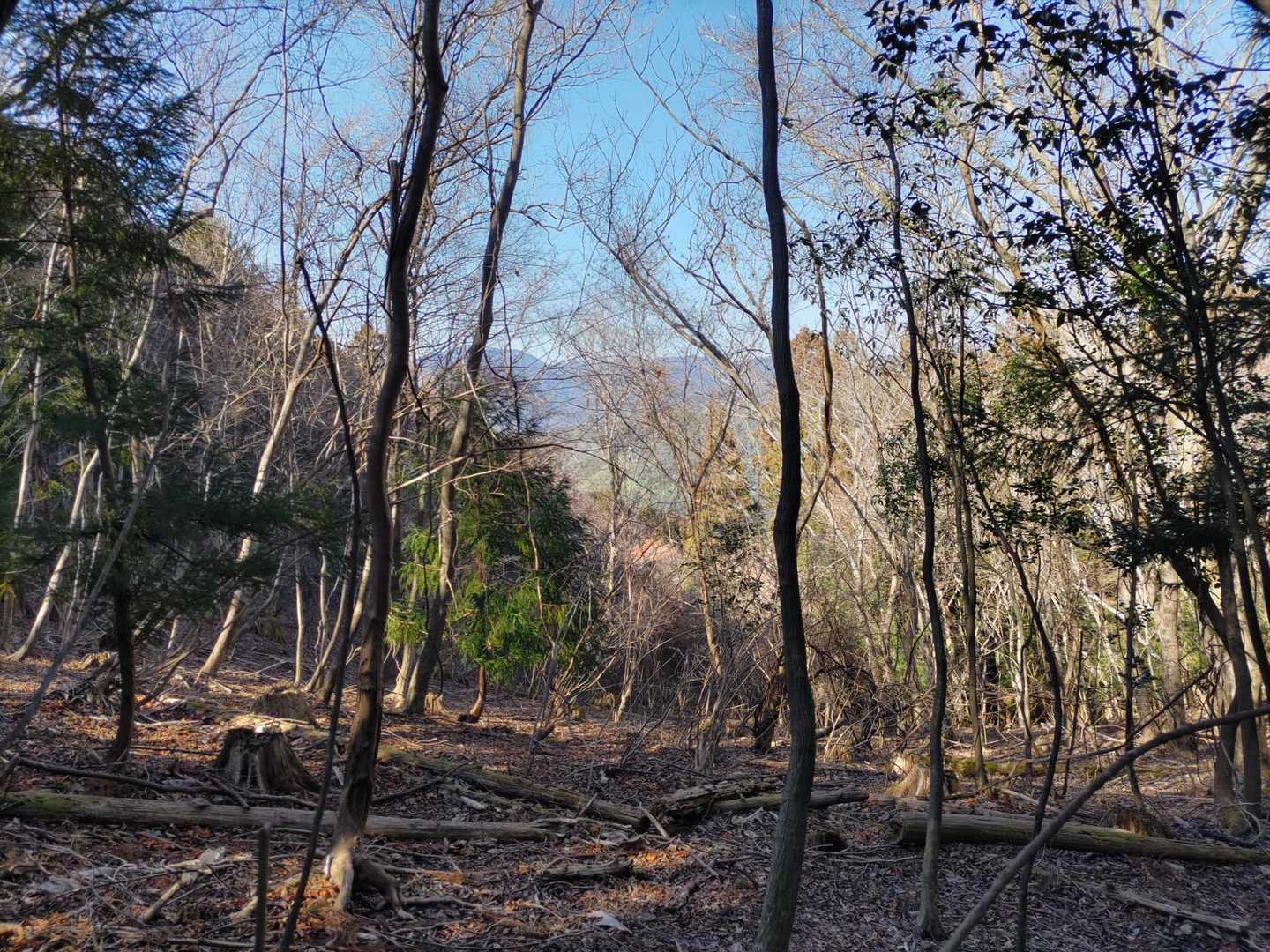 高士山登山口-高土山 往復コースの写真