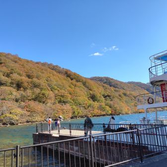遊覧船到着してまーす🚢