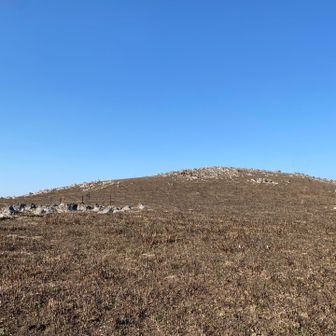 普段登っている山と景観が全然違ってて面白い。