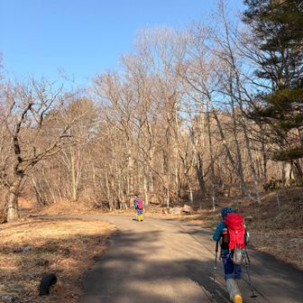 スタート時の気温は2℃✨
ちょっと寒いくらい