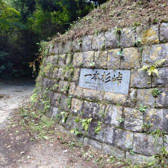 峠に出ました