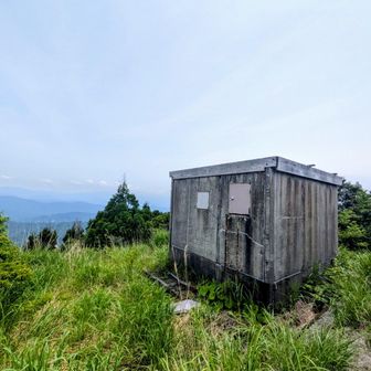 山頂域