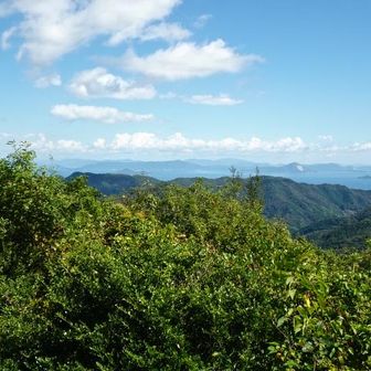瀬戸内海の景色