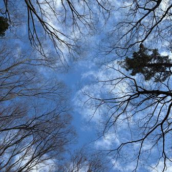 寝転んで空を見上げる至福の時間（寒くてすぐギブアップ）