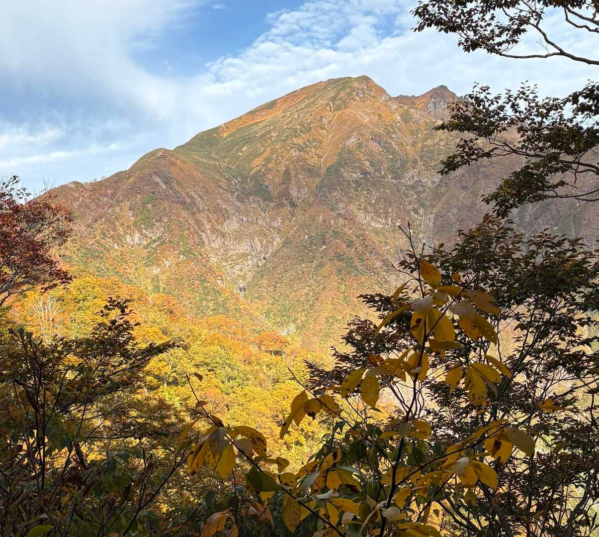天神尾根コースの写真