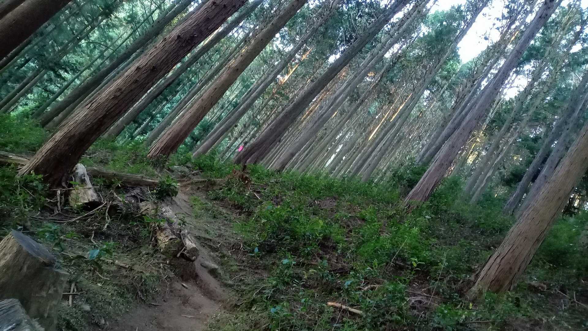 やや不安がある薄暗い時間帯
ソロなのでなおさら🙄