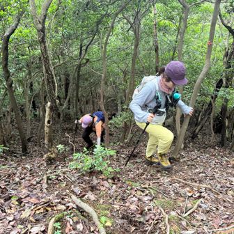 そしてこの角度を登りますっ！