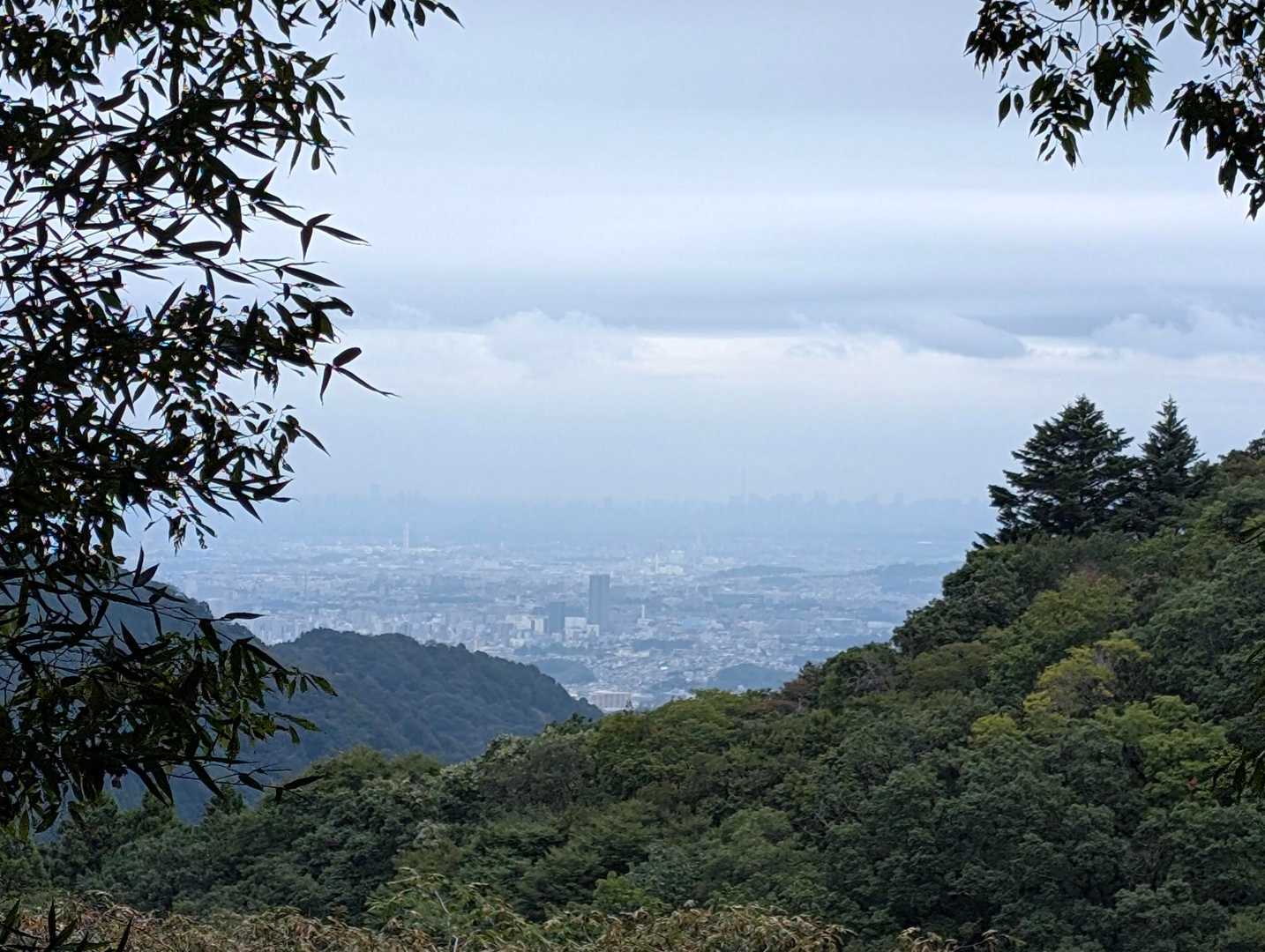 小仏バス停-景信山登山口-ヤゴ沢作業路登山口-小仏峠-城山 縦走コースの写真