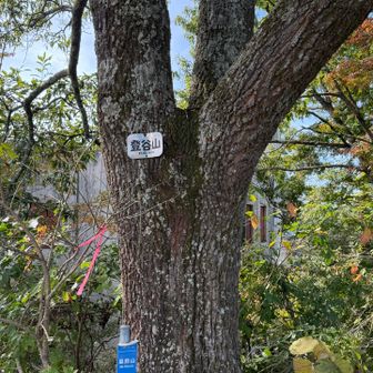 山頂標識はこれなのかな？